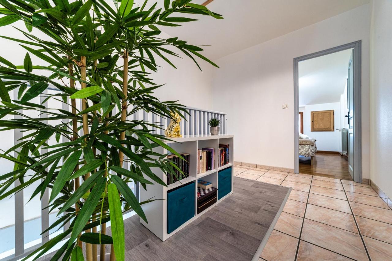 T3 Gaillac St-Jean-Fibre-Netflix-Parking Экстерьер фото
